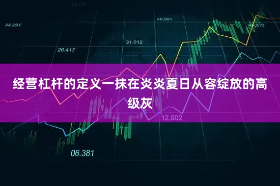 经营杠杆的定义一抹在炎炎夏日从容绽放的高级灰