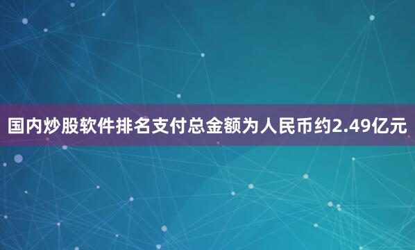 国内炒股软件排名支付总金额为人民币约2.49亿元