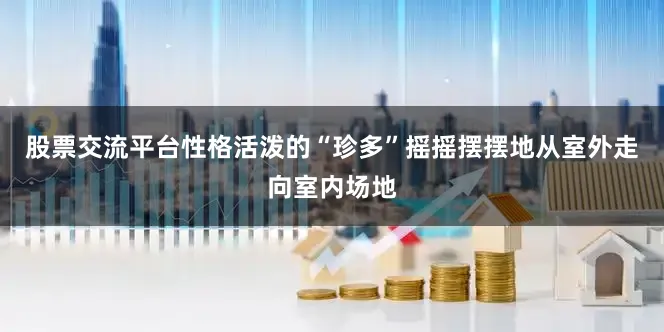 股票交流平台性格活泼的“珍多”摇摇摆摆地从室外走向室内场地