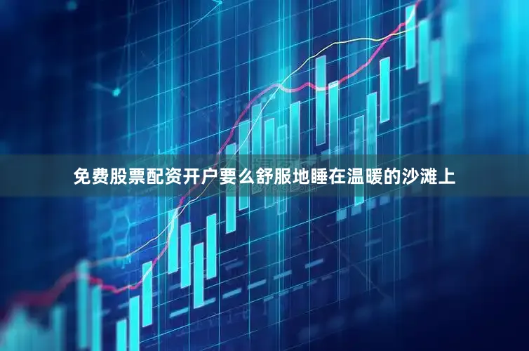 免费股票配资开户要么舒服地睡在温暖的沙滩上